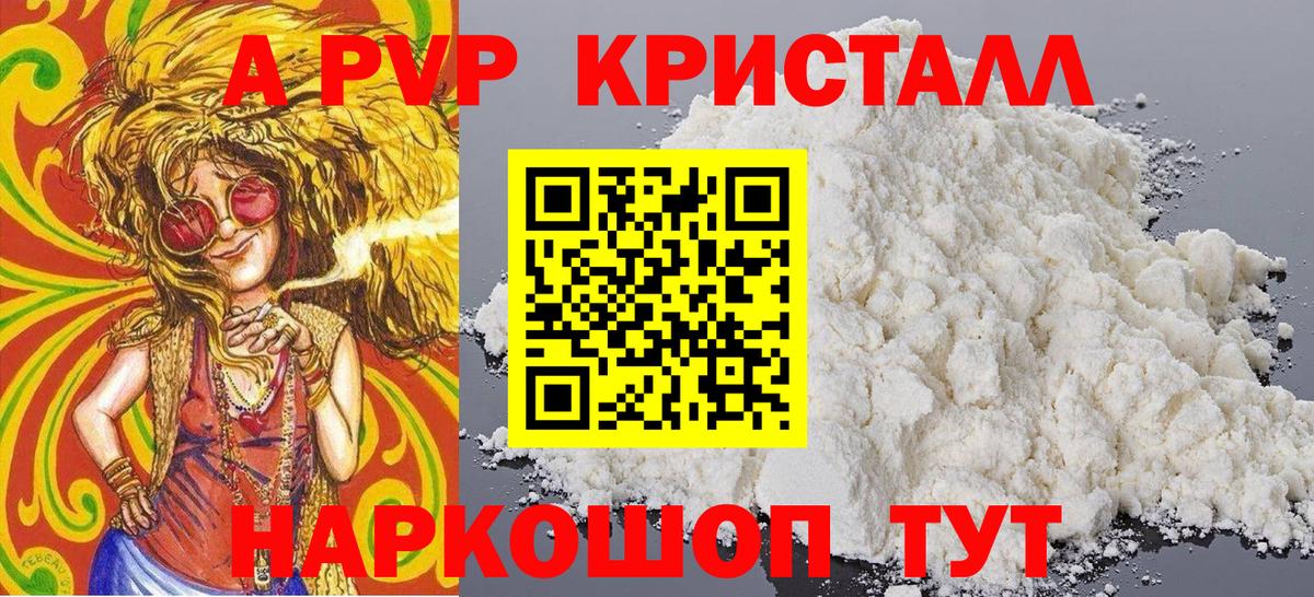 A PVP СК КРИС Йошкар-Ола
