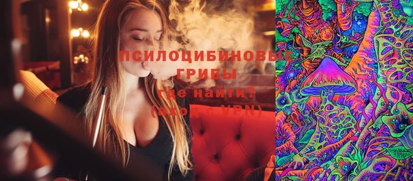 соль ск Алзамай