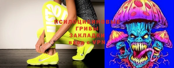 синтетический гашиш Алексеевка