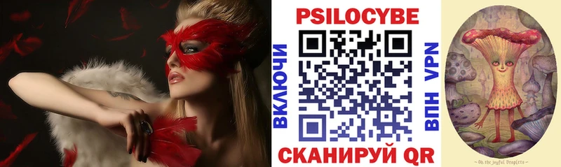 Псилоцибиновые грибы Psilocybe  Йошкар-Ола 