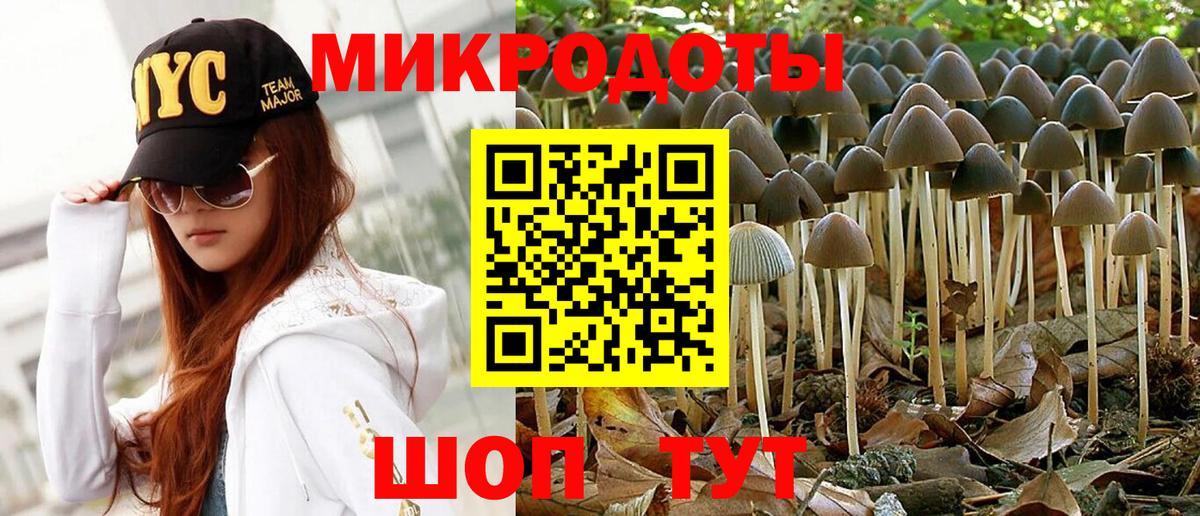 Йошкар-Ола  Псилоцибиновые грибы мухоморы  Вход с VPN 