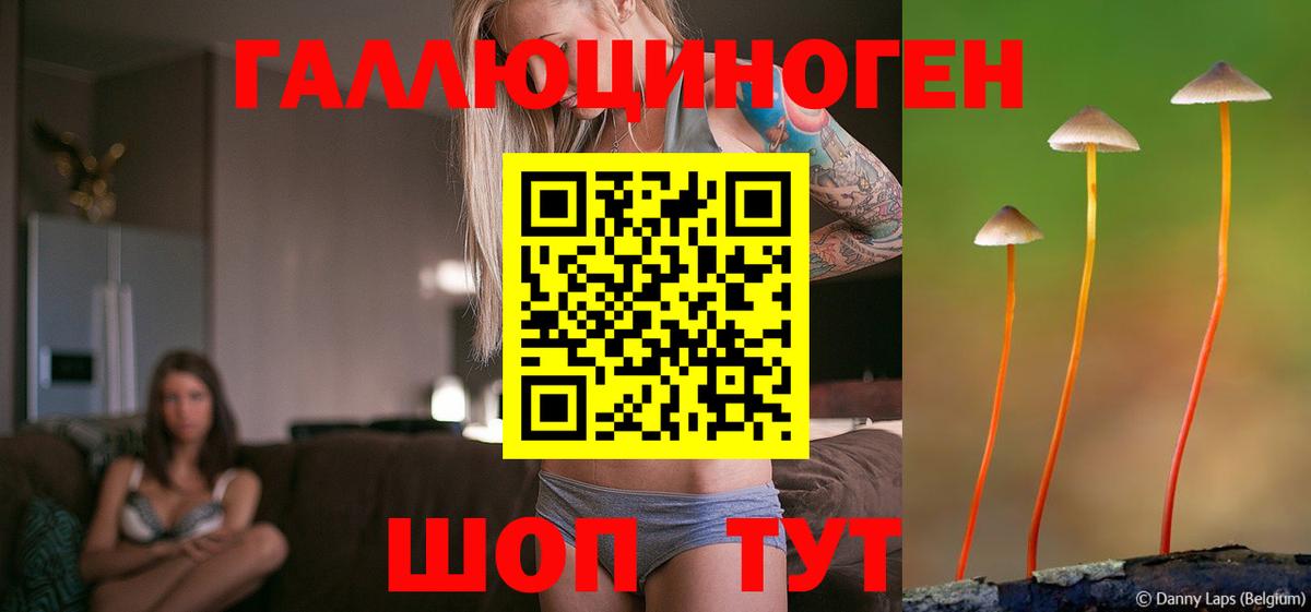 Галлюциногенные грибы Psilocybine cubensis Йошкар-Ола